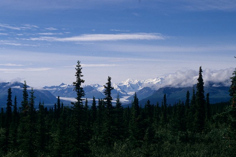 774.jpg - alaska - berge und wälder